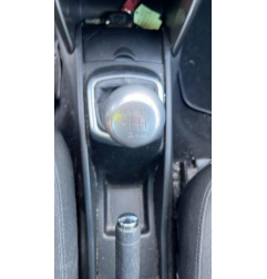 Custode avant droit (porte) PEUGEOT 207