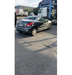 Custode avant droit (porte) PEUGEOT 207