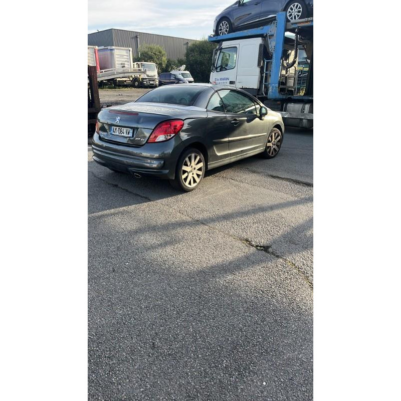 Custode avant droit (porte) PEUGEOT 207 Photo n°19