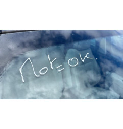 Custode arriere gauche PEUGEOT 5008 1