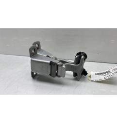 Charniere de porte de coffre droit RENAULT KANGOO 2 Photo n°1