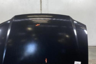Capot VOLKSWAGEN TOURAN 1 Photo n°1