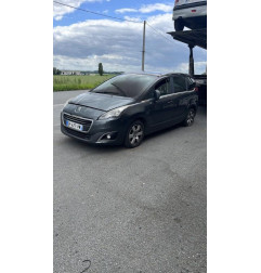 Custode arriere gauche PEUGEOT 5008 1