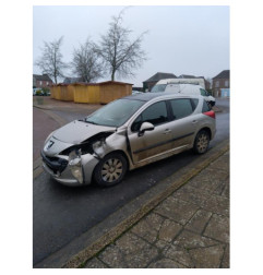 Porte arriere gauche PEUGEOT 207