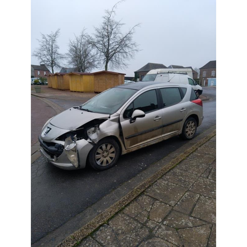 Porte arriere gauche PEUGEOT 207 Photo n°6