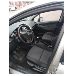Porte arriere gauche PEUGEOT 207