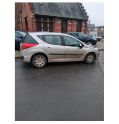 Porte arriere gauche PEUGEOT 207