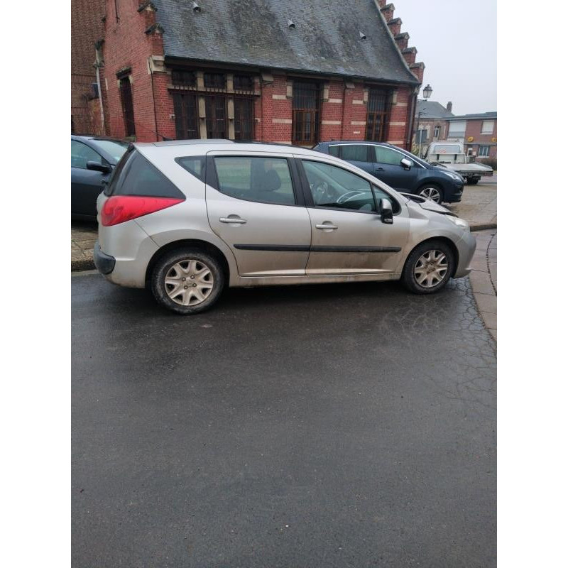 Porte arriere gauche PEUGEOT 207 Photo n°9