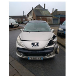 Porte arriere gauche PEUGEOT 207