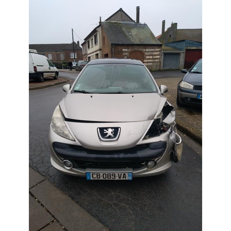 Porte arriere gauche PEUGEOT 207 Photo n°15