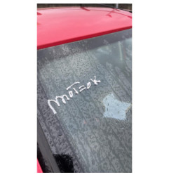 Vase d'expansion DACIA SANDERO 1
