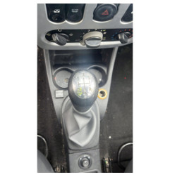 Porte arriere gauche DACIA SANDERO 1