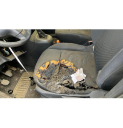 Capot CITROEN C3 PICASSO