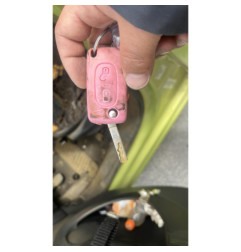 Capot CITROEN C3 PICASSO