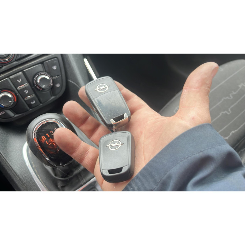 Porte arriere gauche OPEL MERIVA B Photo n°7