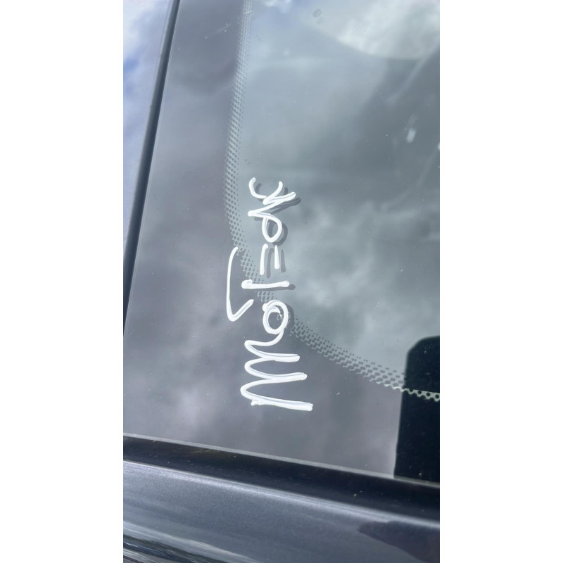 Charniere de capot RENAULT MEGANE 3 Photo n°9