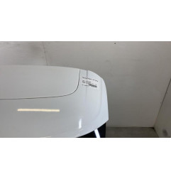 Malle/Hayon arriere FORD FOCUS 3
