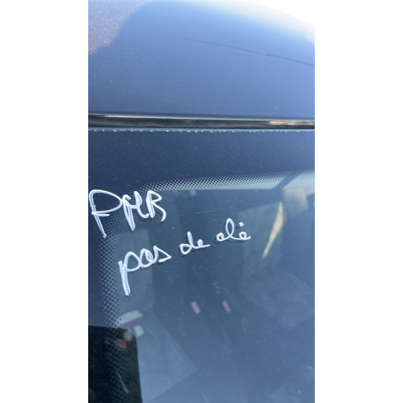 Porte arriere droit DACIA SANDERO 1 Photo n°17