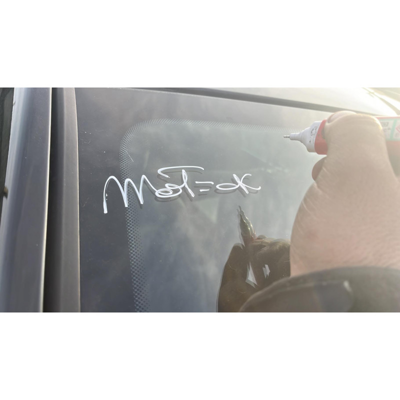 Custode arriere gauche DACIA DUSTER 1 Photo n°13