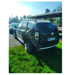 Custode arriere gauche DACIA DUSTER 1