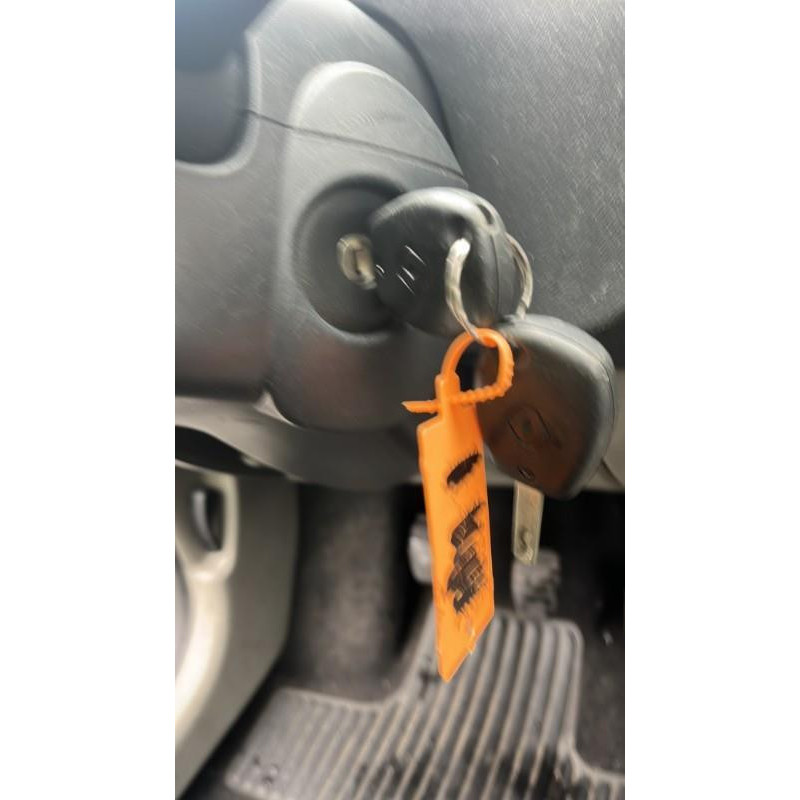 Porte avant droit RENAULT TWINGO 2 Photo n°14