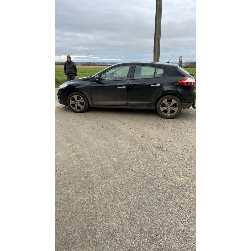 Plage arriere RENAULT MEGANE 3 Photo n°14