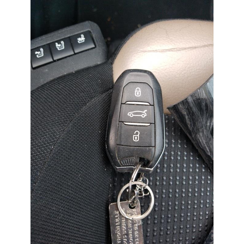 Custode arriere gauche CITROEN C4 PICASSO 2 Photo n°9