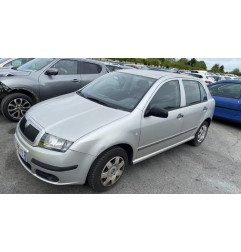 Porte arriere gauche SKODA FABIA 1