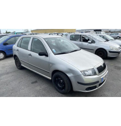 Porte arriere gauche SKODA FABIA 1