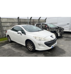 Bouton de warning PEUGEOT 308 1