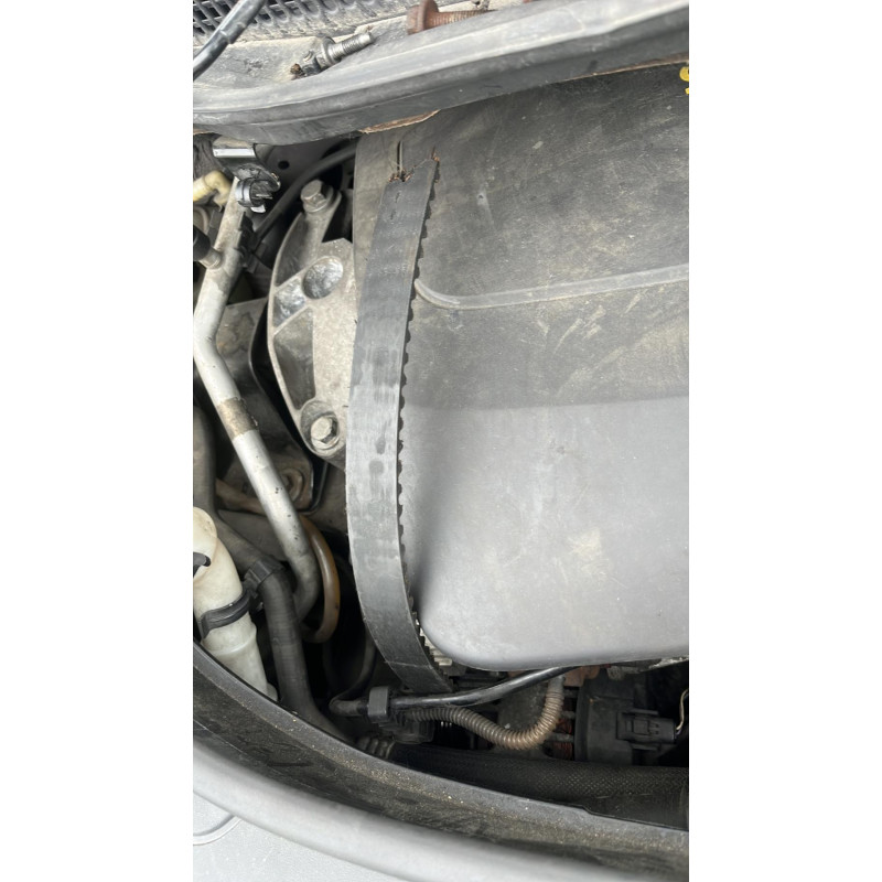 Porte avant droit RENAULT SCENIC 2 Photo n°11