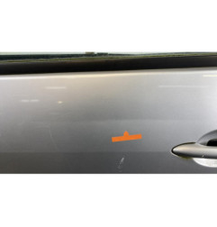 Porte arriere gauche RENAULT SCENIC 2