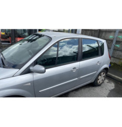Porte arriere gauche RENAULT SCENIC 2