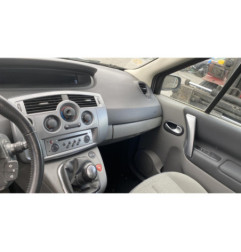 Porte arriere gauche RENAULT SCENIC 2