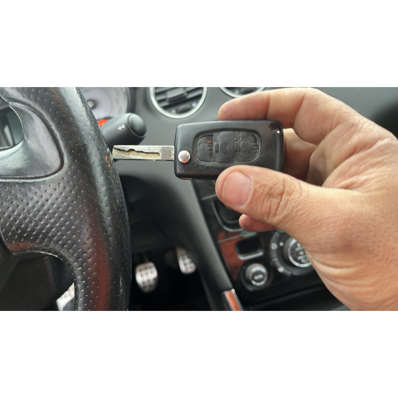 Custode arriere gauche PEUGEOT 308 1 Photo n°13