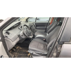 Porte avant droit RENAULT SCENIC 2