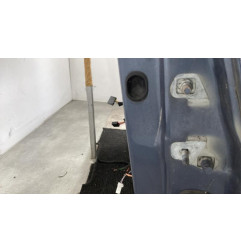 Porte avant gauche RENAULT CLIO 3