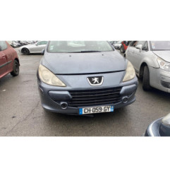 Custode arriere gauche PEUGEOT 307