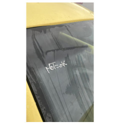 Jante VOLKSWAGEN NEW BEETLE 1