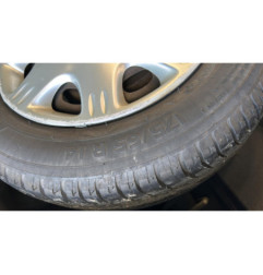 Jante ROVER 25