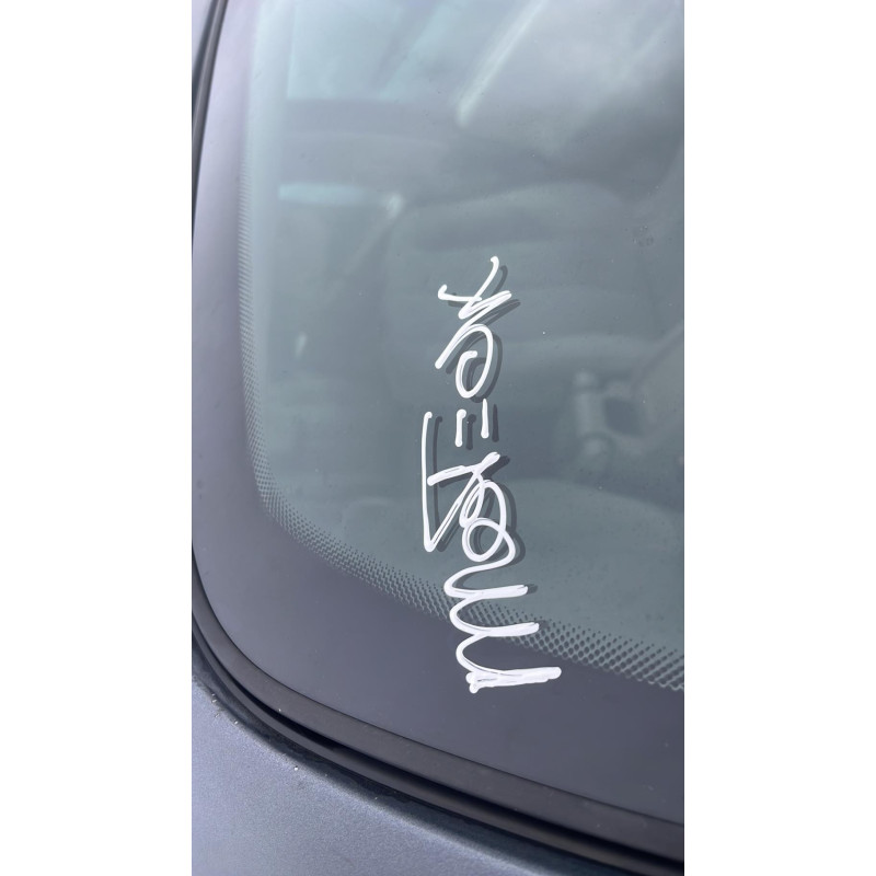 Serrure avant gauche RENAULT SCENIC 2 Photo n°15