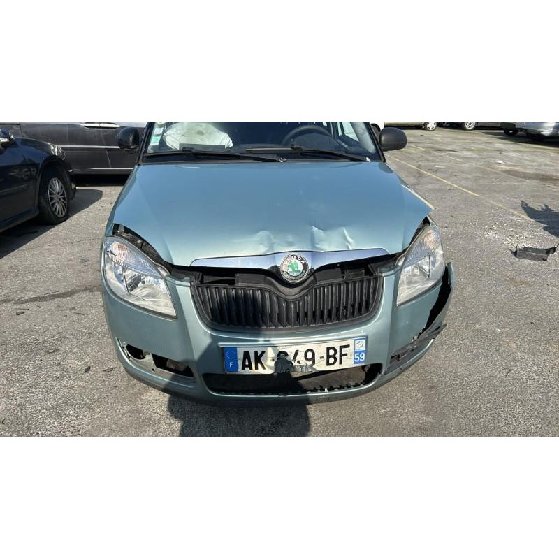 Porte avant gauche SKODA FABIA 2 Photo n°20