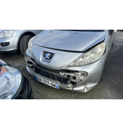 Vase de lave glace PEUGEOT 207