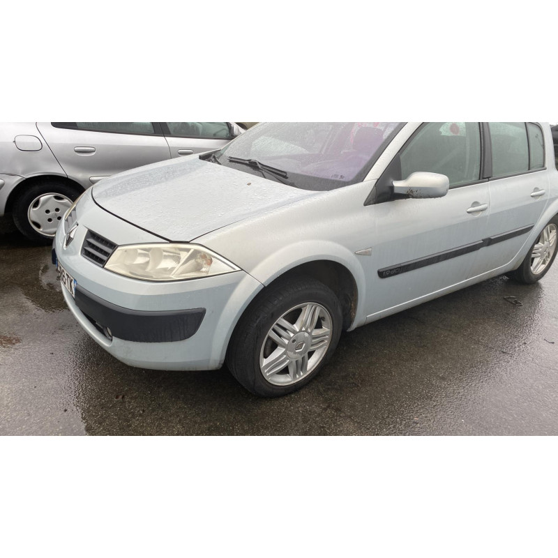 Porte avant gauche RENAULT MEGANE 2 Photo n°15