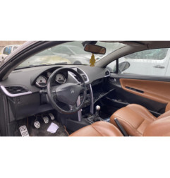 Custode arriere gauche PEUGEOT 207