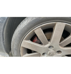 Custode arriere gauche PEUGEOT 207