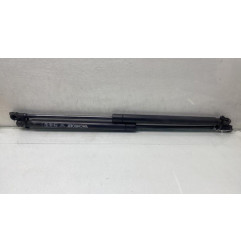 Verin de coffre RENAULT CLIO 3
