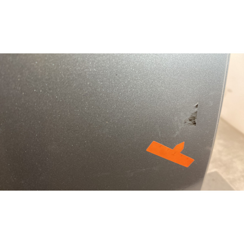 Porte arriere droit RENAULT SCENIC 2 Photo n°4