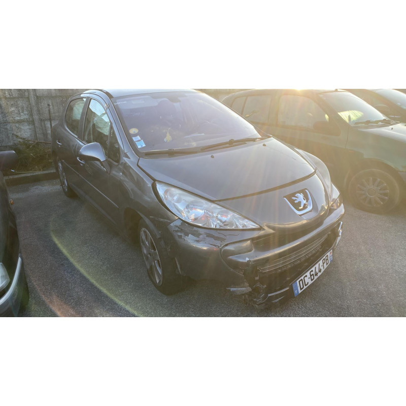 Porte arriere droit PEUGEOT 207 Photo n°14