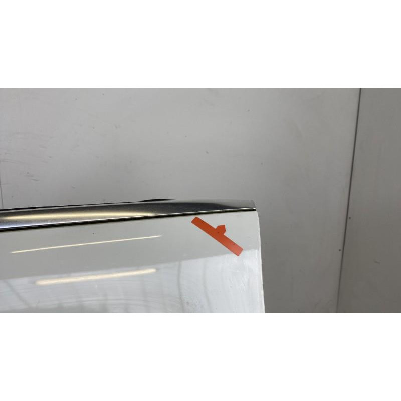 Porte avant gauche VOLKSWAGEN PASSAT 5 Photo n°4